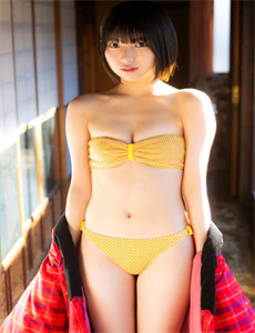 冰河时期2012